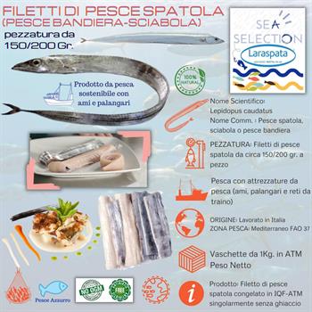 PORZIONI DI RICCIOLA HIRAMASA C/P IQF