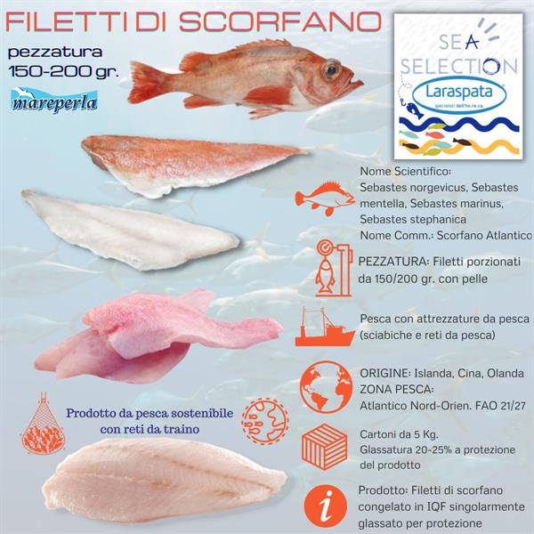 FILETTI DI SCORFANO 200/400 GL.25% (Sebastes marinus) FAO 27