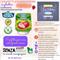 SANTAR. CONF. FRAGOLA GR.20x100 plastica