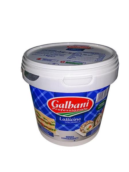 FORMAGGIO SPALMABILE KG.1 galbani secchiello