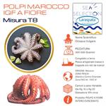 POLPI MAROCCO IQF MIS. T8-T9 200-400 GR.(octopus vulgaris)
