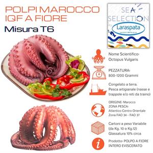 POLPI MAROCCO MISURA F3 T6 IQF 800/1200 (octopus vulgaris)