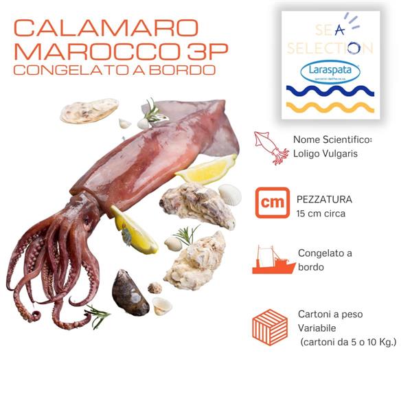 CALAMARI VERACI MAROCCO 3P BORDO (loligo vulgaris)