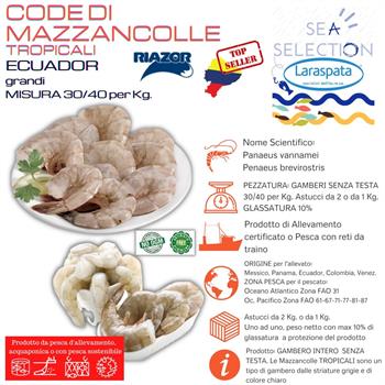 CODE MAZZANCOLLE TROPIC. 30/40/50  KG.1 NETTO (Penaeus Vannamei)