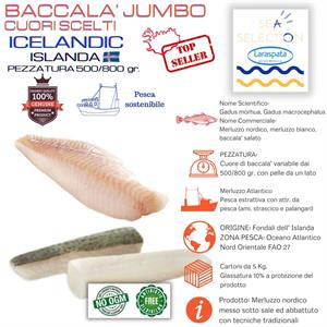 BACCALA' JUMBO GR.500+/- GL.11% merl.nordico (gadus morhua ZONA FAO 27)