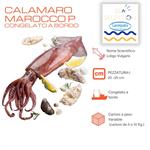 CALAMARI VERACI M MAROCCO  (loligo vulgaris ZONA FAO 34)
