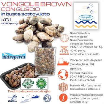 VONGOLE BROWN CON GUSCIO KG.1 MAREPERLA(Meretrix Lyrata) zona fao 61