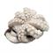 POLPI INSALATA IWP 800-1200 IQF KG (octopus vulgaris) mareperla