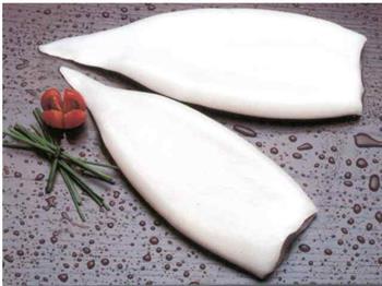 TUBO DI TOTANO ILLEX KG.1 GL.20% (illex argentinus) FAO 87