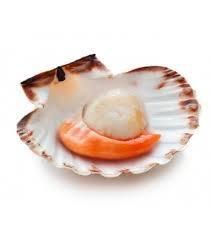 CAPPASANTA MEZZO GUSCIO 20/30 GR.750