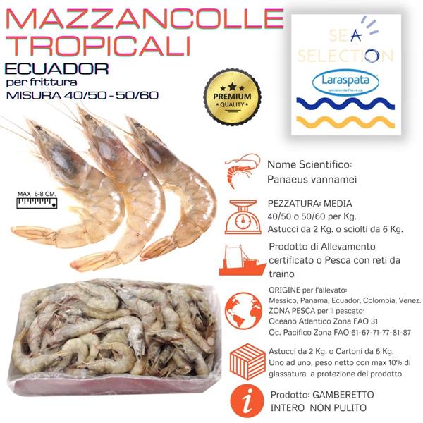 GAMBERI ECUADOR MAZZ. 40/50 KG.1 GL.10% per frit.(Penaeus Vannamei)