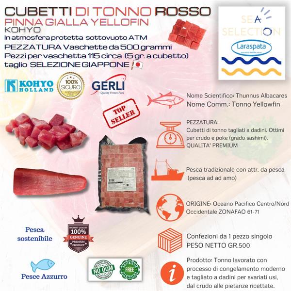 CUBETTI DI TONNO P.GIALLA GR.500 (tunnus albacares) FAO 77
