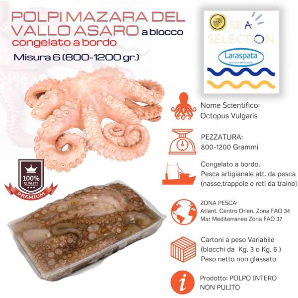POLPI MAROCCO TAFRA N.5 1500/1800 (octopus vulgaris) FAO34