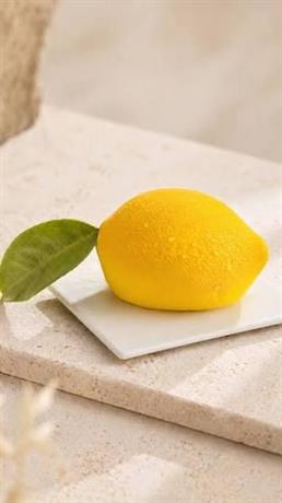 AN LIMONE FRUTTA REAL. PZ.6 annunziata