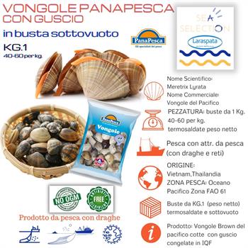 VONGOLE CON GUSCIO PANAPESCA KG.1 (Meretrix meretrix FAO 71)