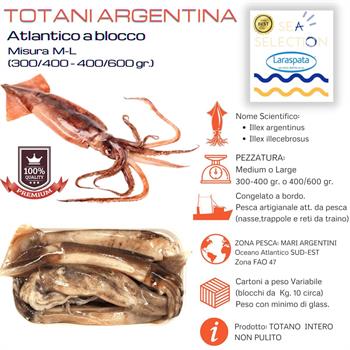 TOTANI CONGELATI CATERING (Illex argentinus fao 41)