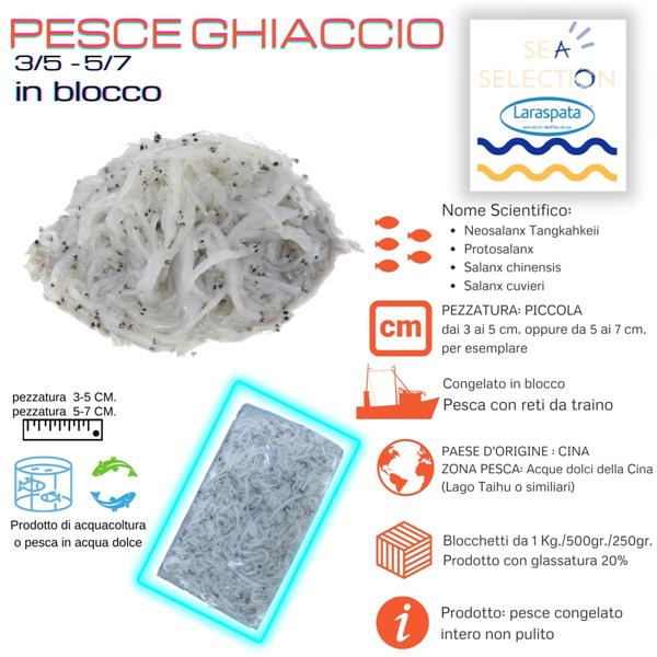 PESCE GHIACCIO misura3-5 KG1 GL.20(neosalanx tangkahkeii taihuensis-all)