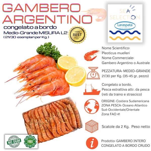 GAMBERI ARGENTINI L2 KG.2 (Pleoticus Muelleri) ZONA FAO 41