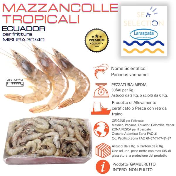 GAMBERI ECUADOR MAZZ. 20/30/40 KG.1 GL.10% per frit.(Penaeus Vannamei)