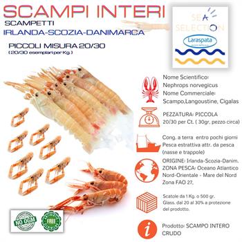 SCAMPI MEDI 21/30 LORDO GR.500 NETTO 375GR. (Nephrops Norvegicus) retail